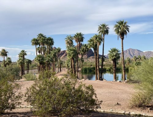 Papago Park Fall Retreat—Sat., Nov. 7